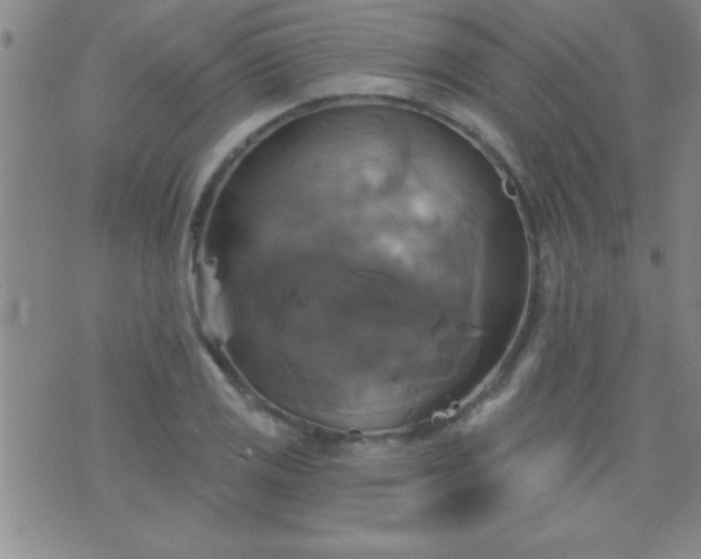 X0000075901125200609221930