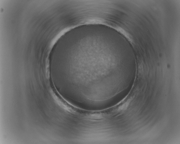 X0000075901126200609221930