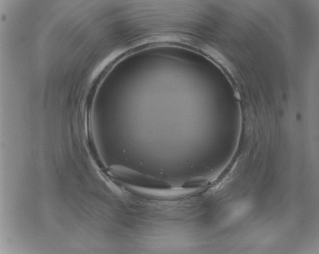 X0000075901127200609221930