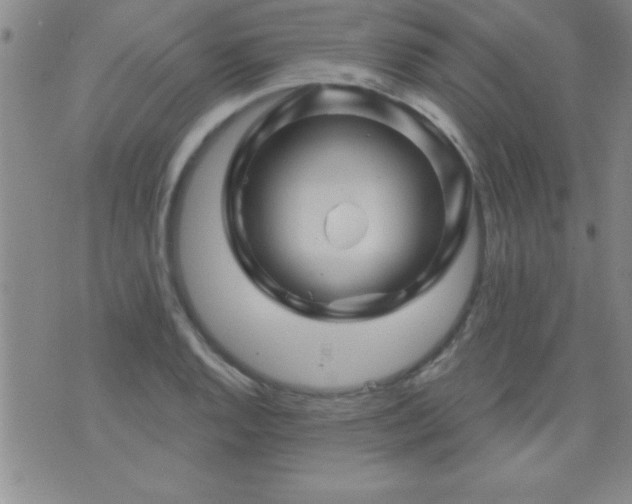 X0000075901128200609221930