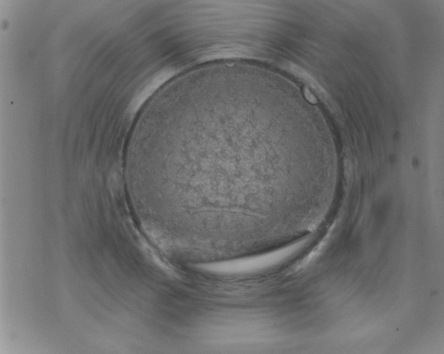 X0000075901129200609221930