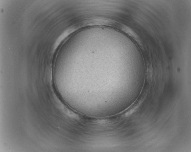 X0000075901130200609221930