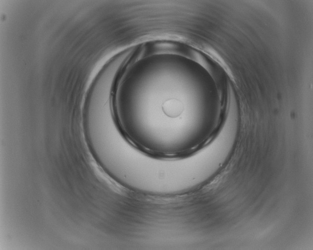 X0000075901132200609221930