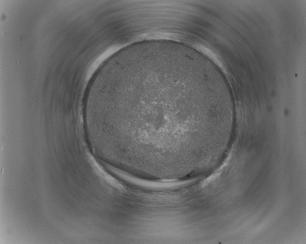 X0000075901133200609221930