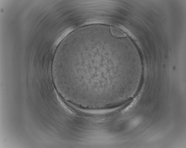 X0000075901137200609221930