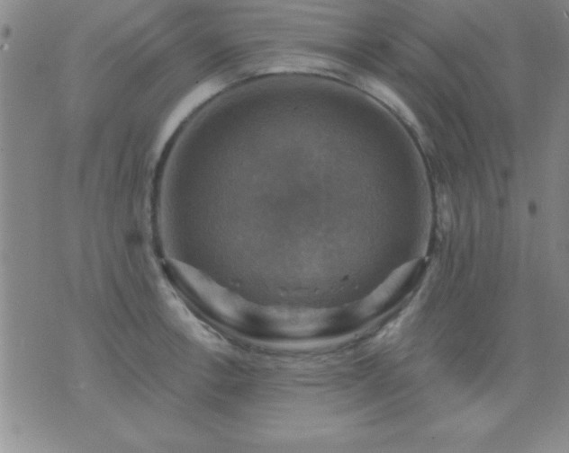 X0000075901138200609221930