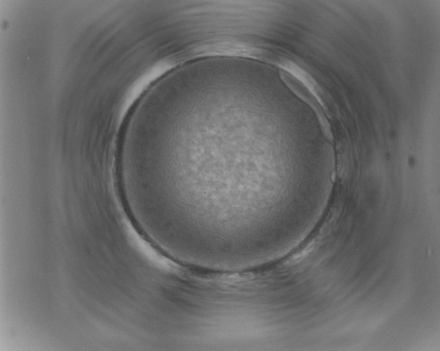 X0000075901139200609221930