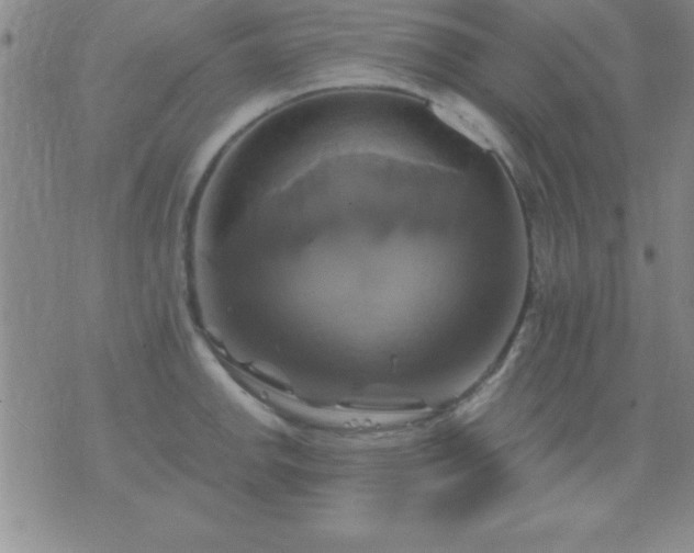 X0000075901142200609221930