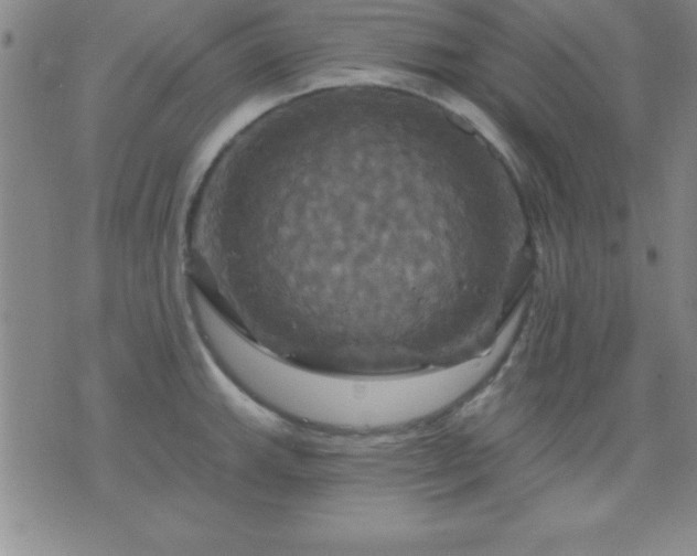 X0000075901143200609221930