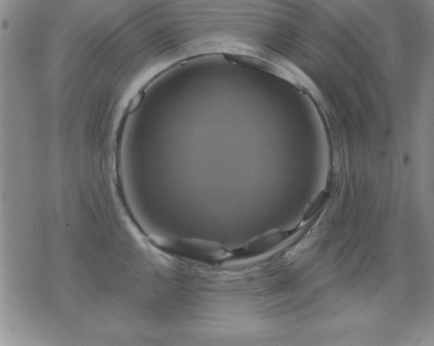 X0000075901144200609221930