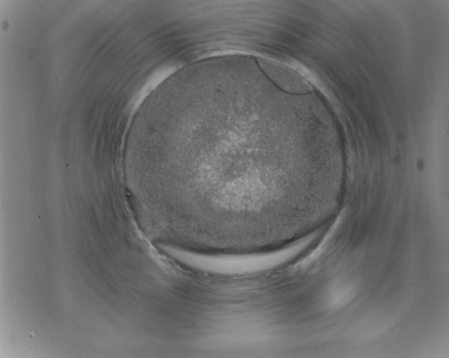 X0000075901145200609221930