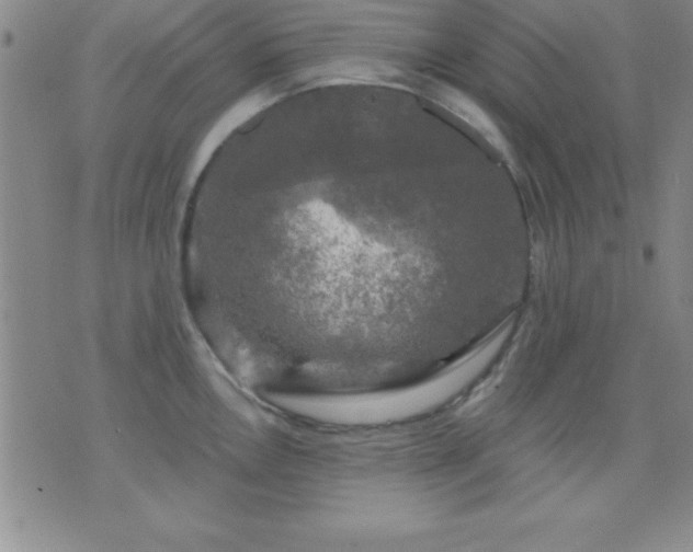 X0000075901146200609221930