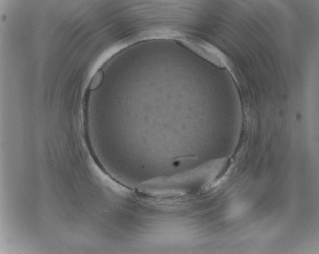 X0000075901147200609221930