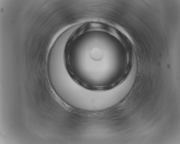 X0000075901148200609221930