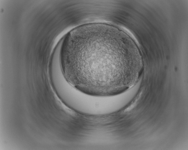 X0000075901149200609221930