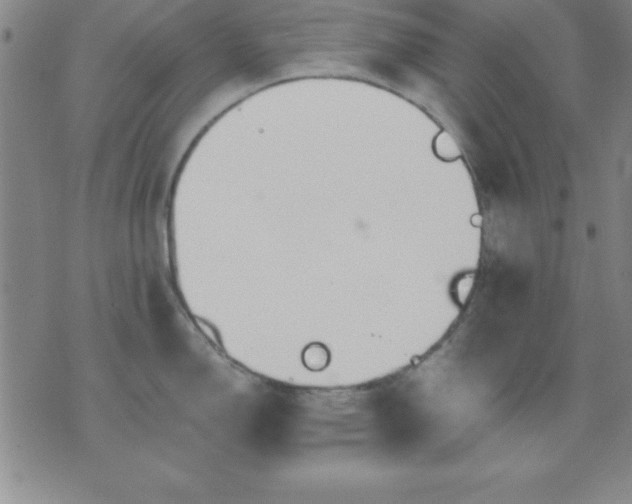 X0000075901150200609221930