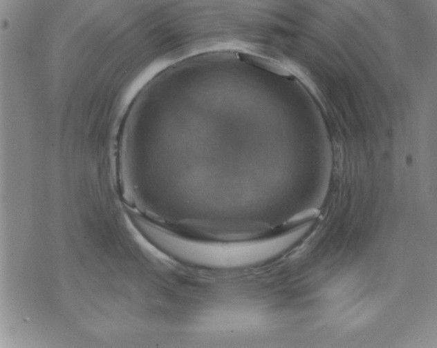 X0000075901151200609221930