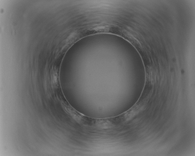 X0000075901154200609221929