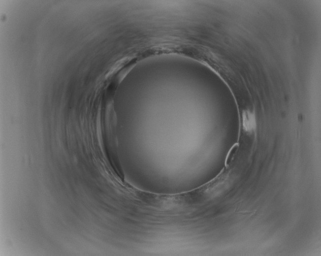 X0000075901155200609221929