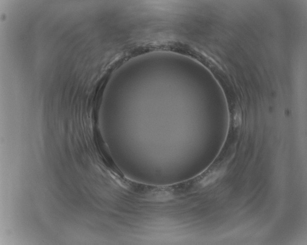 X0000075901156200609221929