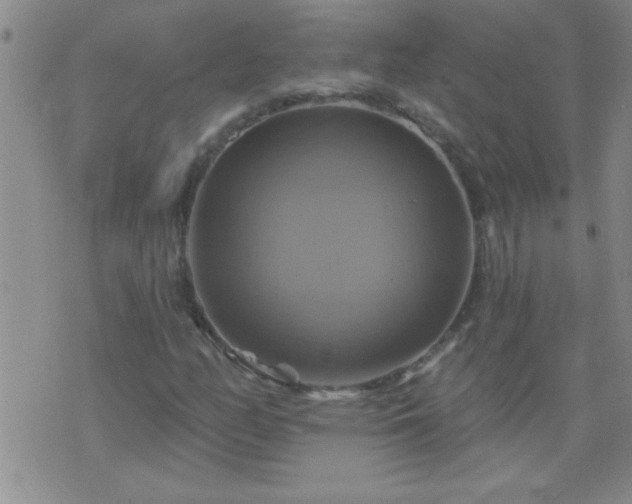 X0000075901158200609221929