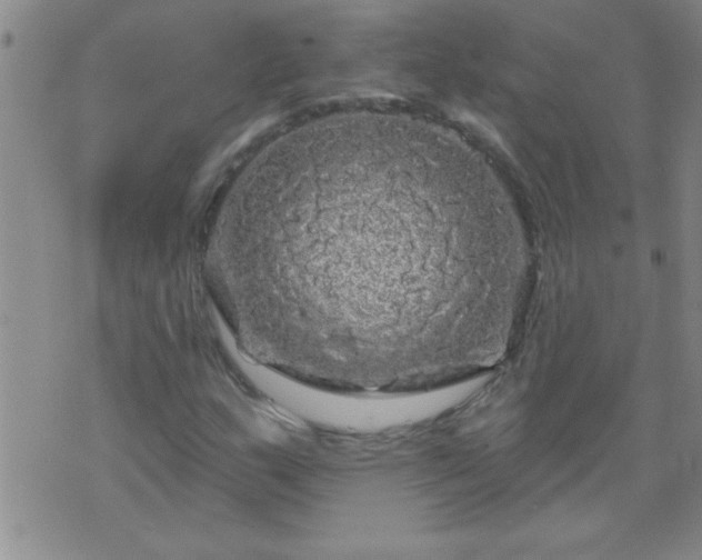 X0000075901159200609221929