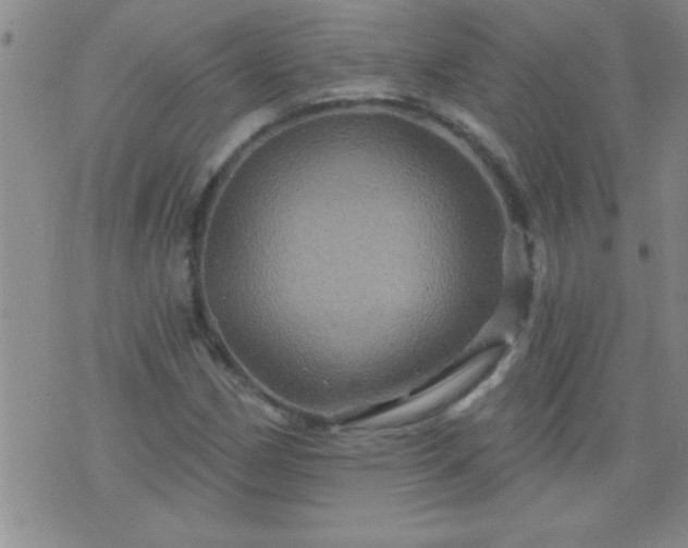 X0000075901162200609221929