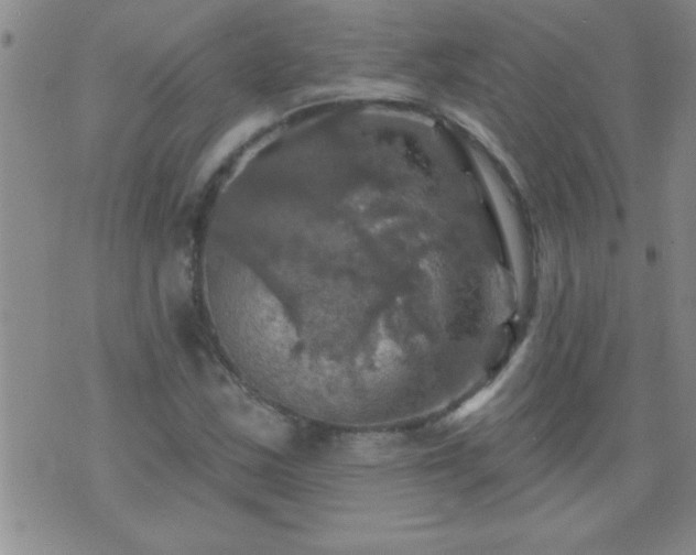 X0000075901163200609221929