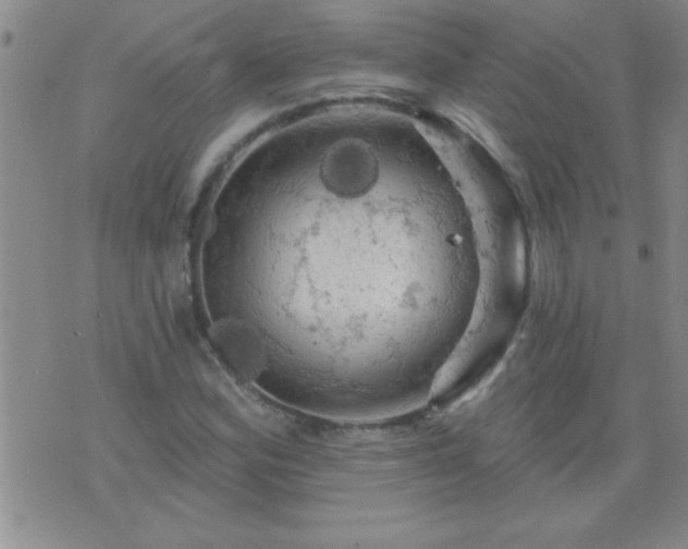 X0000075901164200609221929