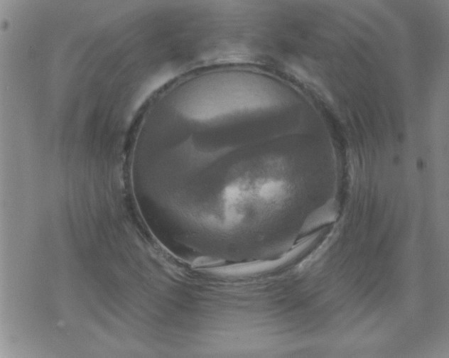 X0000075901166200609221929