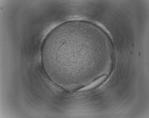 X0000075901167200609221929