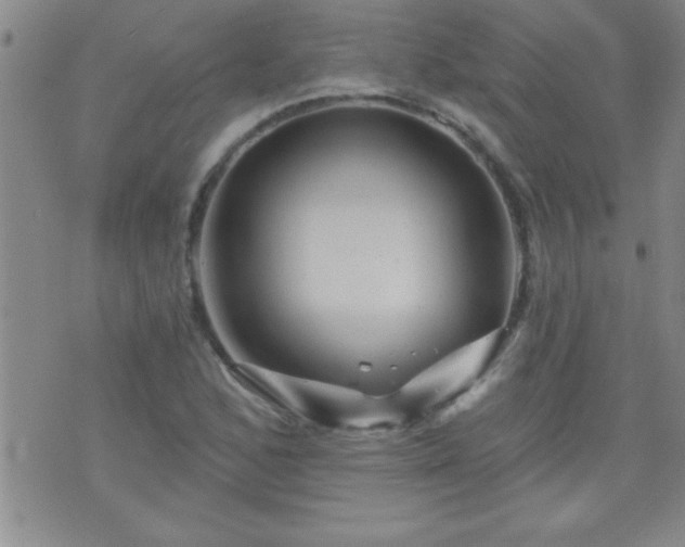 X0000075901168200609221929