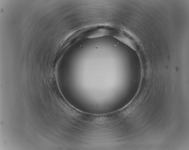 X0000075901169200609221929