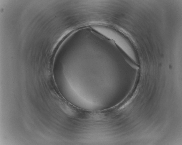 X0000075901170200609221929