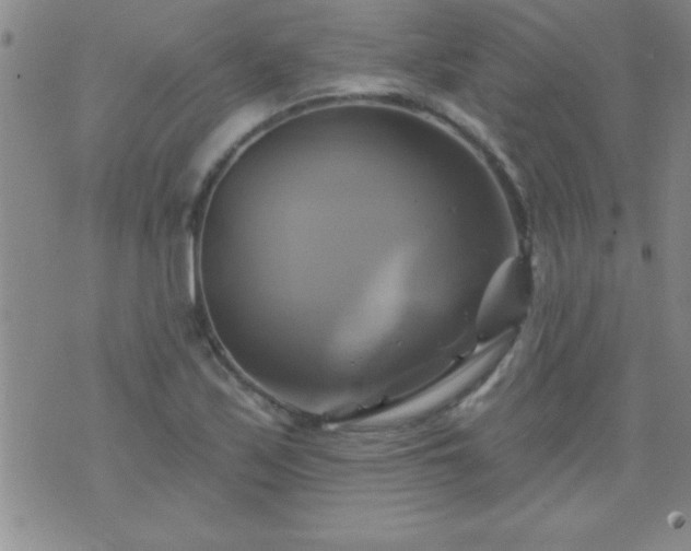 X0000075901171200609221929