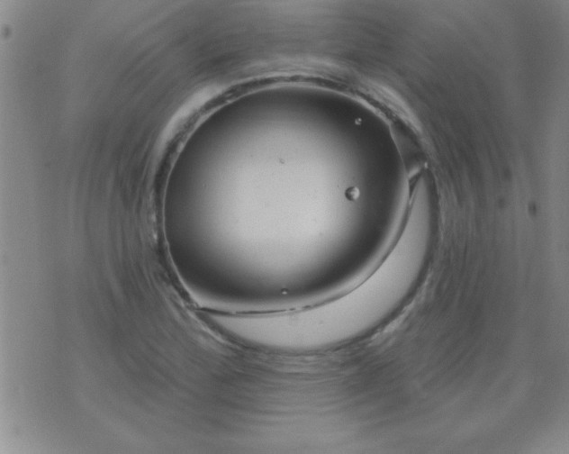 X0000075901172200609221929