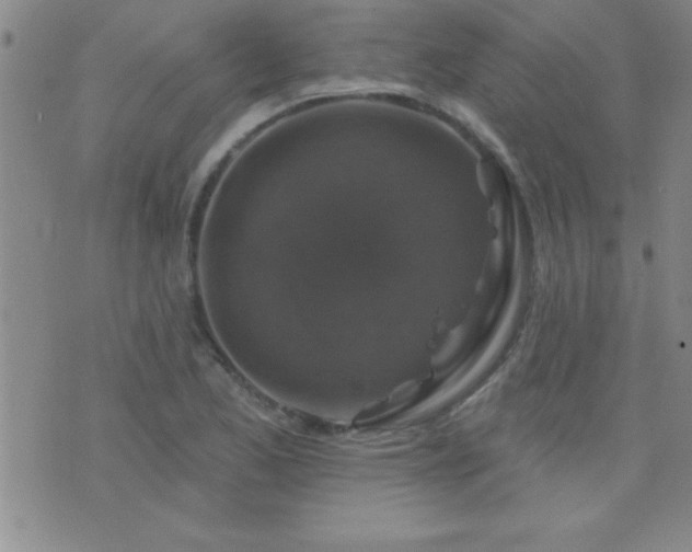 X0000075901173200609221929