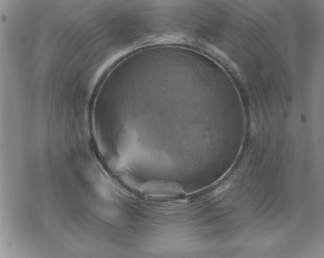 X0000075901174200609221929