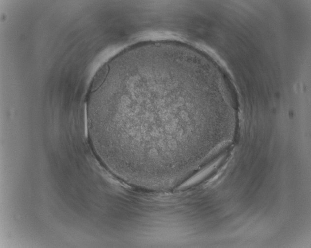 X0000075901175200609221929