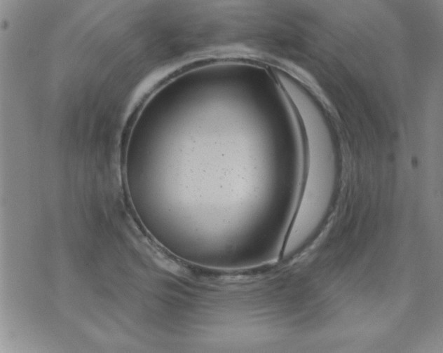 X0000075901176200609221929