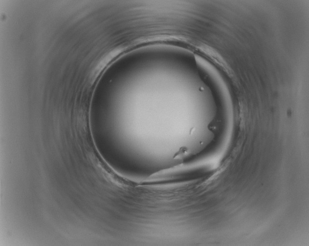 X0000075901177200609221929