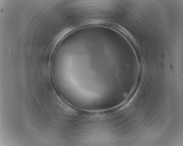 X0000075901178200609221929