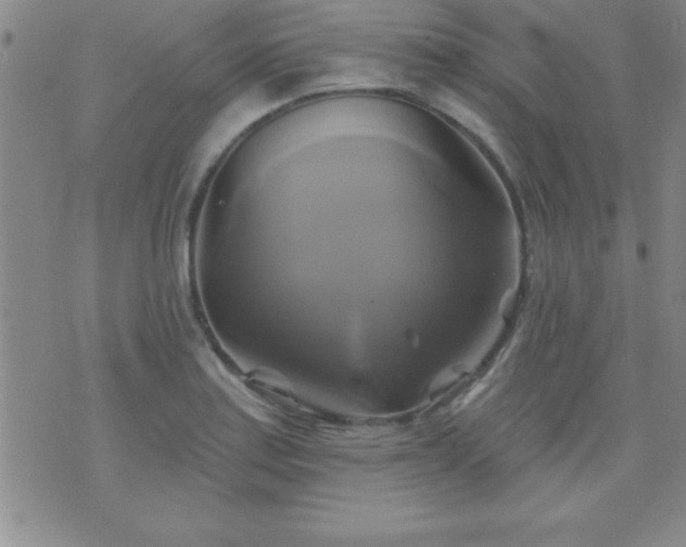 X0000075901179200609221929