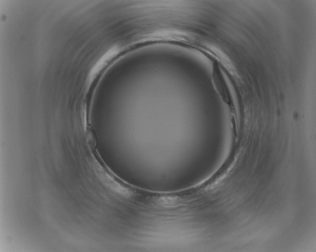 X0000075901180200609221929