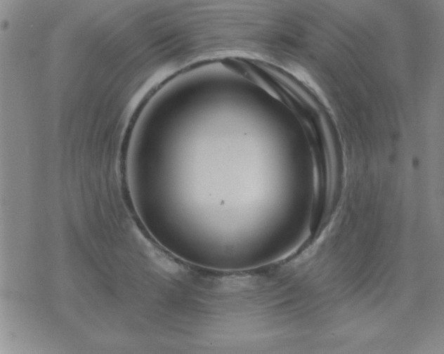 X0000075901181200609221929