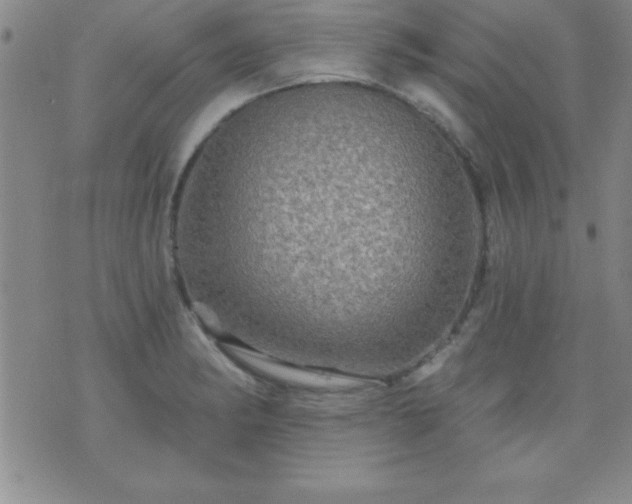 X0000075901182200609221929