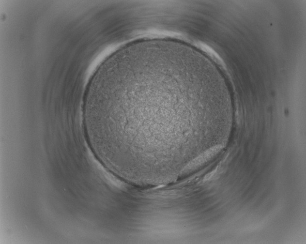 X0000075901183200609221929