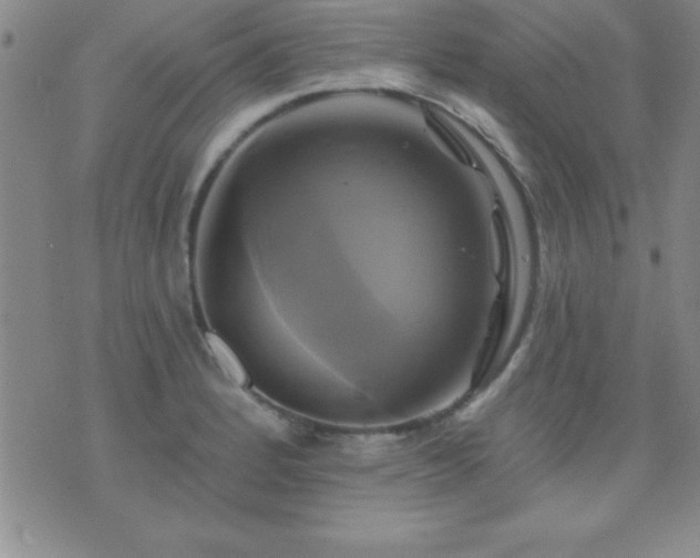 X0000075901184200609221929