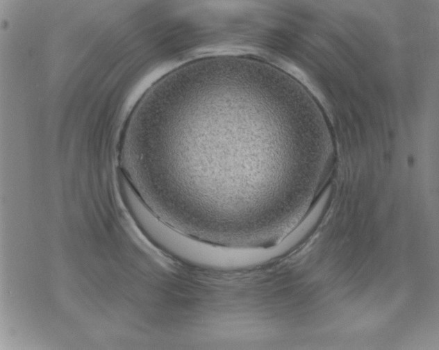 X0000075901187200609221929