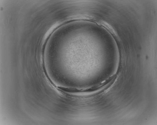 X0000075901188200609221929